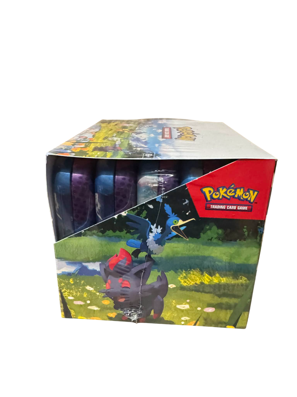 Pokemon TCG - Mega Evolution-Ascended Heroes Mini Tin Display Sealed (x10 Tins)